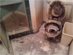 1-bath_before1